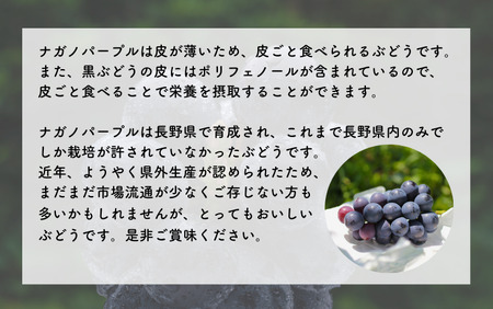 MS33-26A 【先行予約】 ぶどう ナガノパープル （長野県産秀品） 約2kg / 2026年8月下旬～10月上旬頃 配送予定 // 種なし 皮ごと 葡萄 ブドウ ぶどう ナガノ パープル 南信州 長野県 オリジナル品種 稀少