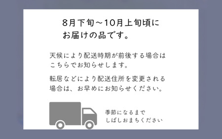 MS33-26A 【先行予約】 ぶどう ナガノパープル （長野県産秀品） 約2kg / 2026年8月下旬～10月上旬頃 配送予定 // 種なし 皮ごと 葡萄 ブドウ ぶどう ナガノ パープル 南信州 長野県 オリジナル品種 稀少