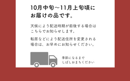 MS35-26A 【先行予約】 ぶどう クイーンルージュ®(長野県産秀品) 約2kg / 2026年10月中旬~11月上旬頃 配送予定 // 稀少 新品種 長野県 南信州 高糖度 葡萄 ブドウ クインルージュ 甘い 種なし 皮ごと