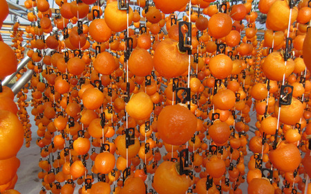 TK21-25A  冷凍カット市田柿 Lサイズ 約400g （200g×2） // 長野県 南信州 干し柿 高級ドライフルーツ 高糖度 冷凍フルーツ