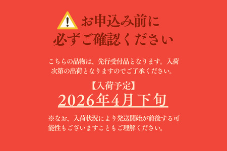 キャンプ アウトドア FUTURE FOX (フューチャー フォックス) ポータブル蓄電池 モバイルバッテリー 30000mAh/【先行予約】4月下旬以降順次発送予定(FF53)