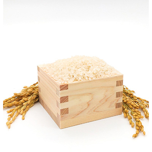 コシヒカリ【毎月定期便】【南信州高森産】コシヒカリ精米5kg 全6回