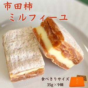 市田柿ミルフィーユ 化粧箱入 食べきりサイズ個包装