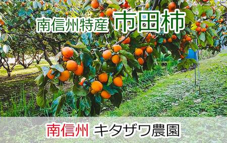 【数量限定】2024年12月下旬順次発送　市田柿　1kg　家庭用