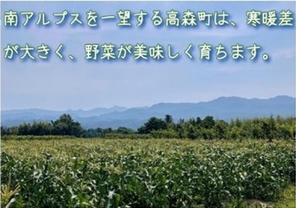 完熟とうもろこし(ゴールドラッシュ)10本＜7月中旬発送＞