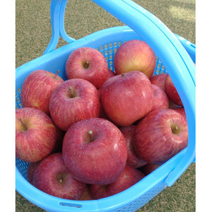 【南信州高森産】サンふじ100%りんごジュース(1L×4本)