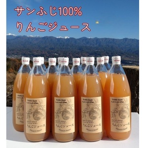 【南信州高森産】サンふじ100%りんごジュース(1L×12本)