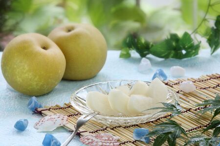 【南信州産】梨「幸水」秀品約5kg(8玉~16玉)<2026年8月下旬より発送>