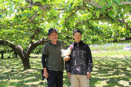 【南信州産】梨「幸水」秀品約5kg(8玉~16玉)<2026年8月下旬より発送>