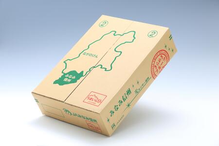 【南信州産】梨「豊水」秀品約5kg（8玉～16玉）＜2026年9月上旬より発送＞