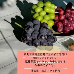 【南信州高森産】シャインマスカットと旬のぶどう(2種or1種)約2kg 2026年9月中旬より発送