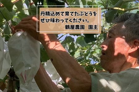 【南信州高森産】シャインマスカット 4房