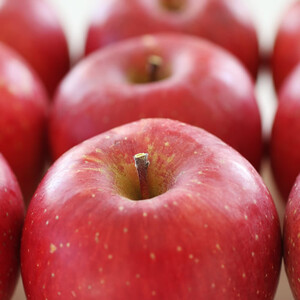 りんご【長野県産】サンふじ!約5kg<2026年11月下旬から順次発送予定>