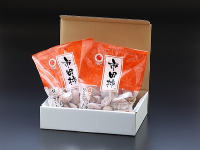 ご家庭用 【南信州産】 市田柿 500ｇバラ×2袋 1月中旬～発送