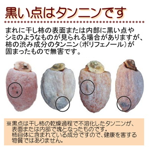ご家庭用 【南信州産】 市田柿 500ｇバラ×2袋 1月中旬～発送