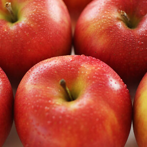 【長野県産!】甘~いりんご(シナノスイート)約10kg 秀品<2026年10月中旬から発送>