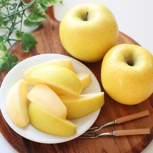 【長野県産】黄金色に輝くシナノゴールド(約10kg)秀品＜2026年10月下旬から発送＞