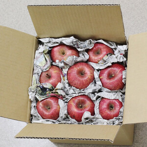 【訳あり品】 長野県産・サンふじ(約5kg) <2026年1月上旬より発送>