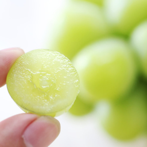 【氷温貯蔵】長野県産・シャインマスカット(約1kg)秀品 <11月中旬より発送>