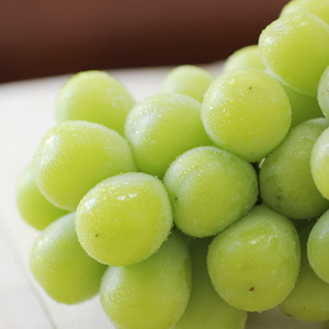 【氷温貯蔵】長野県産・シャインマスカット(約1kg)秀品 <11月中旬より発送>