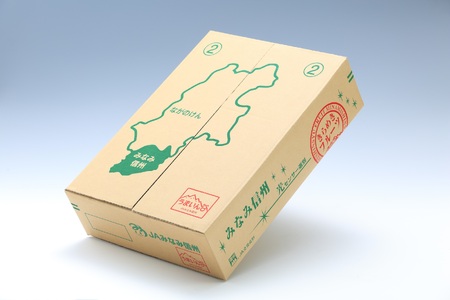 【南信州産】梨「あきづき」秀品約5kg（8玉～16玉）＜2026年9月下旬より発送＞