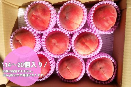 桃 あかつき 6kg＜7月下旬より発送＞