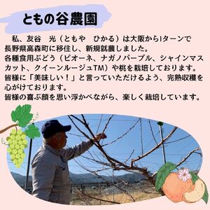 桃 あかつき 6kg＜7月下旬より発送＞