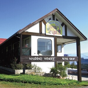 りんごワイン3本セット 王林＆ふじ＆紅玉