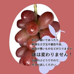 訳ありクイーンルージュTM4kg＜9月下旬より発送開始＞