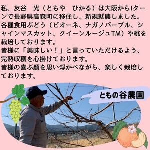 訳ありクイーンルージュTM4kg＜9月下旬より発送開始＞