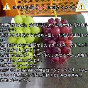 クイーンルージュTM&シャインマスカットぶどう2種セット約1.2kg<2026年9月中旬より発送>