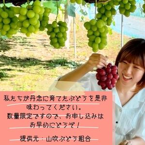 クイーンルージュTM&シャインマスカットぶどう2種セット約1.2kg<2026年9月中旬より発送>