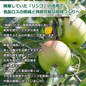 さわやか青りんご 30g×10袋