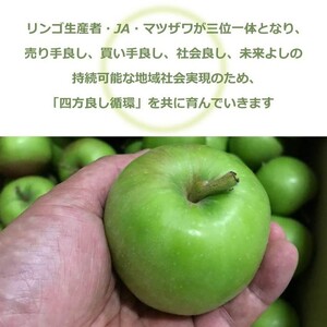 さわやか青りんご 30g×10袋