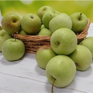 りんご乙女 16枚×2箱