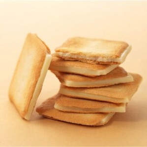 「白い針葉樹」 24枚入り×2箱セット