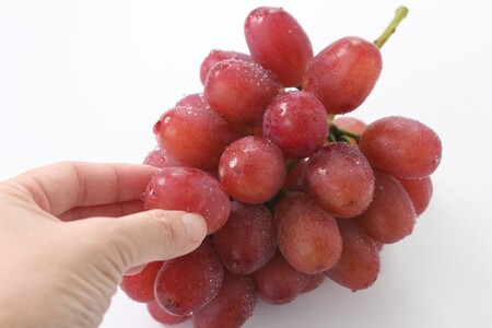 【産地厳選!】長野県産・クイーンルージュ(約1kg)秀品<2026年10月中旬より発送>