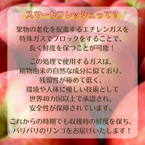 アグリスタくましろのサンふじSF　ご家庭用約5kg(12～20玉)