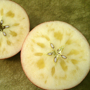 アグリスタくましろのサンふじSF　ご家庭用約5kg(12～20玉)