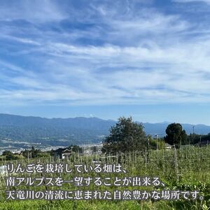 サンつがる 5kg箱＜8月下旬より発送＞