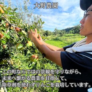 シナノドルチェ 5kg箱＜9月下旬より発送＞