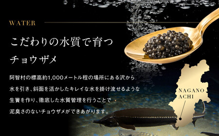 南信州キャビア「天女のほほ笑み」15g