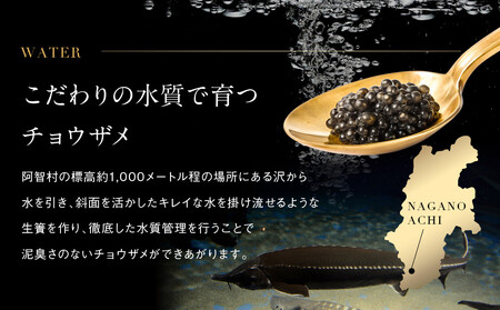 南信州キャビア「天女のほほ笑み」8g