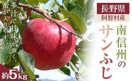 【先行予約】南信州 阿智村 りんご「サンふじ」｜［りんご　りんご　りんご　りんご　りんご］