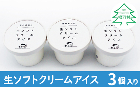 軽いくちどけ 搾りたて生乳を使った 生ソフトクリームアイス 3個入り 3500円