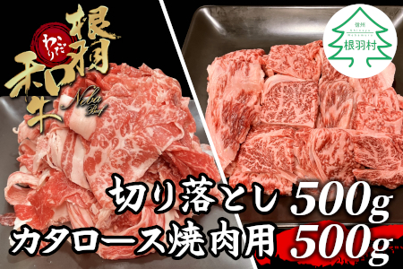 2月発送★大人気商品セット★根羽こだわり和牛 切り落とし500g＆カタロース焼肉用500g