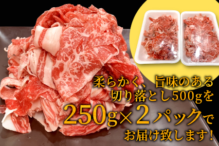 2月発送★大人気商品セット★根羽こだわり和牛 切り落とし500g＆カタロース焼肉用500g