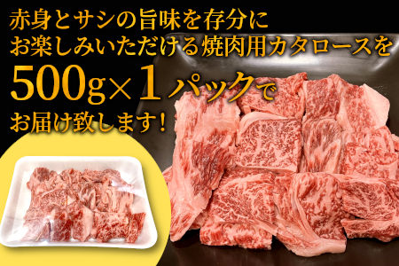 2月発送★大人気商品セット★根羽こだわり和牛 切り落とし500g＆カタロース焼肉用500g