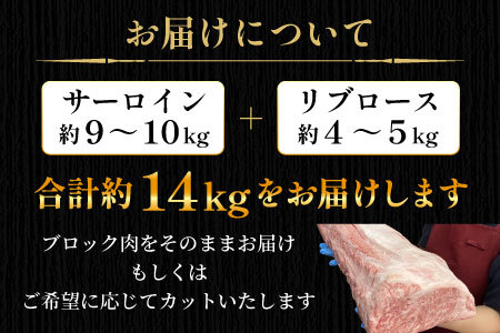 根羽こだわり和牛 黒毛和牛 ロースブロック 半頭分 約14kg サーロイン リブロース ブロック肉 塊肉 塊 牛肉 国産牛 お祝い パーティ ステーキ 焼肉 BBQ 霜降り すき焼き しゃぶしゃぶ 大人数