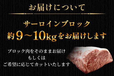 根羽こだわり和牛 サーロイン 半頭分 約9～10kg サーロイン ブロック肉　塊肉 塊 牛肉 国産牛 お祝い パーティ ステーキ 焼肉 BBQ 霜降り すき焼き しゃぶしゃぶ 大人数